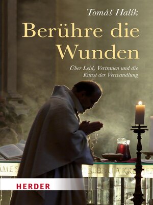 cover image of Berühre die Wunden